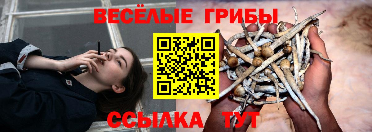 цены наркотик  Галлюциногенные грибы мухоморы  Рославль  Вход с VPN  Галлюциногенные грибы мицелий 