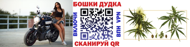 Шишки марихуана Bruce Banner  Рославль 